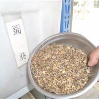 蜀葵种子批发，凤仙花种子批发，野菊花种子批发