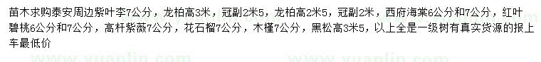 求购紫叶李、龙柏、西府海棠等