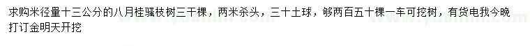 求购米径量13公分八月桂