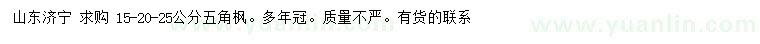 求购15、20、25公分五角枫
