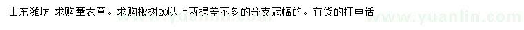 求购薰衣草、20公分以上楸树