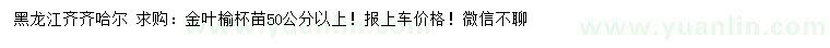 求购50公分以上金叶榆