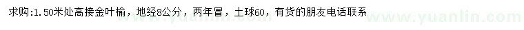 求购地径8公分高接金叶榆