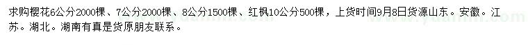 求购6、7、8公分樱花、10公分红枫