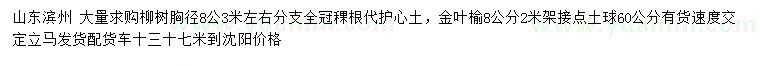 求购胸径8公分柳树、金叶榆