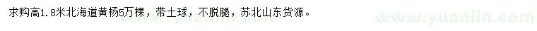 求购高1.8米北海道黄杨