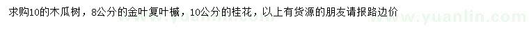 求购木瓜树、金叶复叶槭、桂花