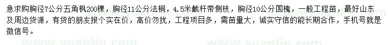 求购五角枫、法桐、国槐