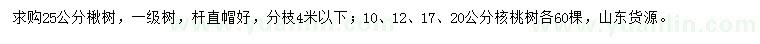 求购25公分楸树、10、12、17、20公分核桃树