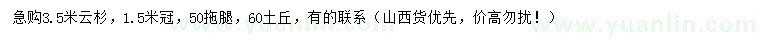 求购3.5米云杉