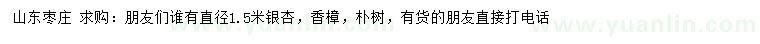 求购银杏、香樟、朴树