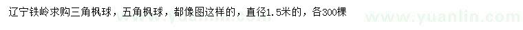 求购直径1.5米三角枫球、五角枫球