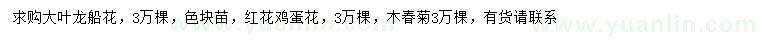 求购大叶龙船花、红花鸡蛋花、木春菊