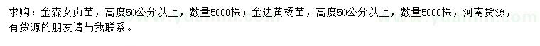 求购高度50公分以上金森女贞、金边黄杨