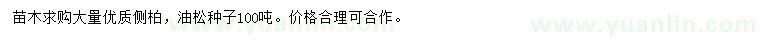 求购侧柏、油松种子