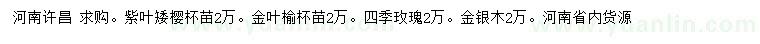 求购紫叶矮樱、金叶榆、四季玫瑰等