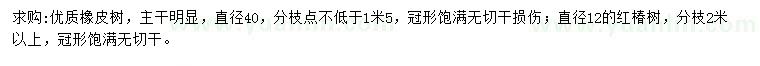 求购直径40公分橡皮树、12公分红椿树