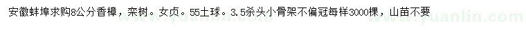 求购香樟、栾树、女贞