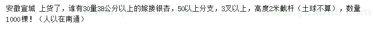 求购30量38公分以上嫁接银杏