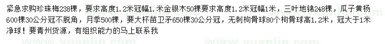 求购珍珠梅、金银木、三叶地锦等