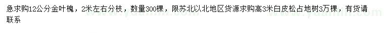 求购12公分金叶槐、高3米白皮松