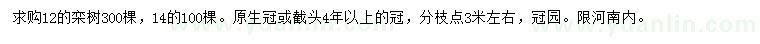 求购12、14公分栾树