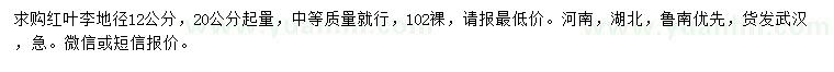 求购20公分起量地径12公分红叶李