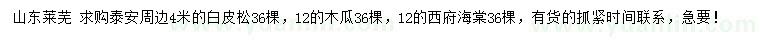 求购白皮松、木瓜、西府海棠