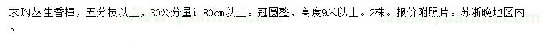 求购30公分量80公分以上丛生香樟