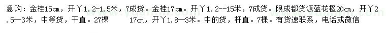 求购15公分金桂、17、20公分蓝花楹