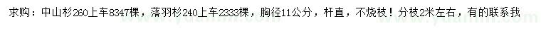 求购胸径11公分中山杉、落羽杉