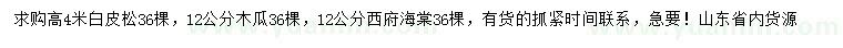 求购白皮松、木瓜树、西府海棠