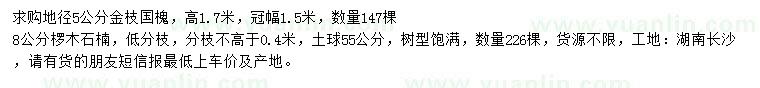 求购地径5公分金枝国槐、8公分椤木石楠