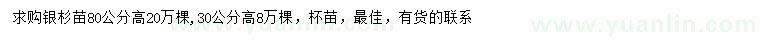 求购高30、80公分银杉苗