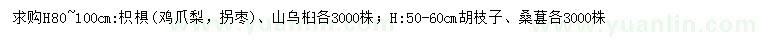 求购鸡爪梨、拐枣、山乌桕等