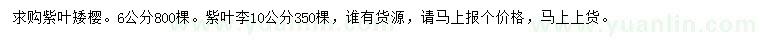 求购6公分紫叶矮樱、紫叶李