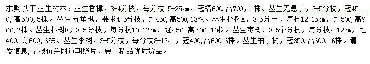 求购丛生香樟、丛生无患子、丛生五角枫等