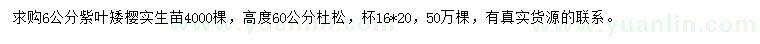 求购6公分紫叶矮樱、高度60公分杜松