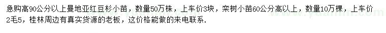 求购高90公分以上曼地亚红豆杉小苗、高60公分以上栾树小苗