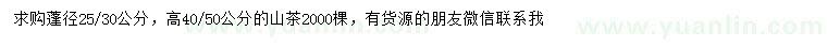 求购高40、50公分山茶
