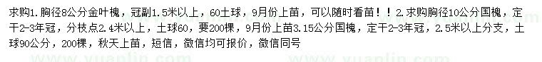 求购胸径8公分金叶槐、10、15公分国槐