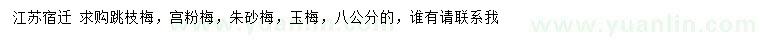 求购跳枝梅、宫粉梅、朱砂梅等