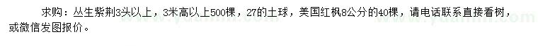 求购高3米以上紫荆、8公分美国红枫