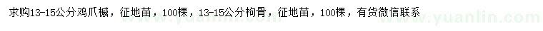 求购13-15公分鸡爪槭、枸骨