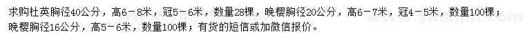 求购胸径40公分杜英、16、20公分晚樱