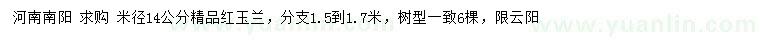 求购米径14公分精品红玉兰