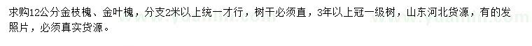 求购12公分金枝槐、金叶槐