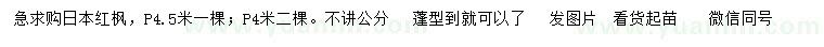 求购冠幅4、4.5米日本红枫