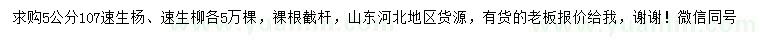 求购5公分107速生杨、速生柳