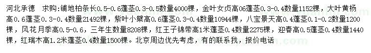 求购铺地柏、金叶女贞、大叶黄杨等